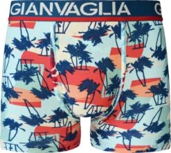 Heren Boxershorts Katoen - 5-Pack - Maat XL | Heren Ondergoed 12 Heren Boxershorts Katoen - 5-Pack - Maat XL | Heren Ondergoed -Merkloos Soldes 1200x1070 9