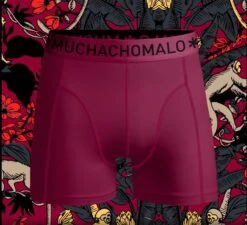 Muchachomalo-12-pack Onderbroeken Voor Mannen-Elastisch Katoen-Boxershorts - Maat XL -Merkloos Soldes 1200x1091 5