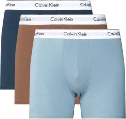 Calvin Klein Brief Onderbroek Mannen - Maat XL