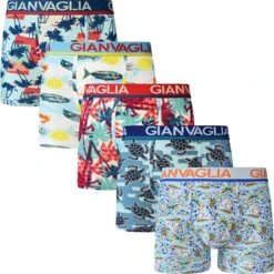 Gianvaglia Heren Boxershort - 5-Pack - 5062 - M - Blauw