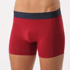 Sapph Boxershort Heren - Nolan - Microvezel - 2pack - Groen/Rood - M 11 Sapph Boxershort Heren - Nolan - Microvezel - 2pack - Groen/Rood - M -Merkloos Soldes 1200x1200 177