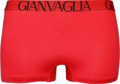 Merkloos Gianvaglia Dames Onderbroek Katoen - Boxershort 10-pack - Korte Pijp - Maat M -Merkloos Soldes 1200x840