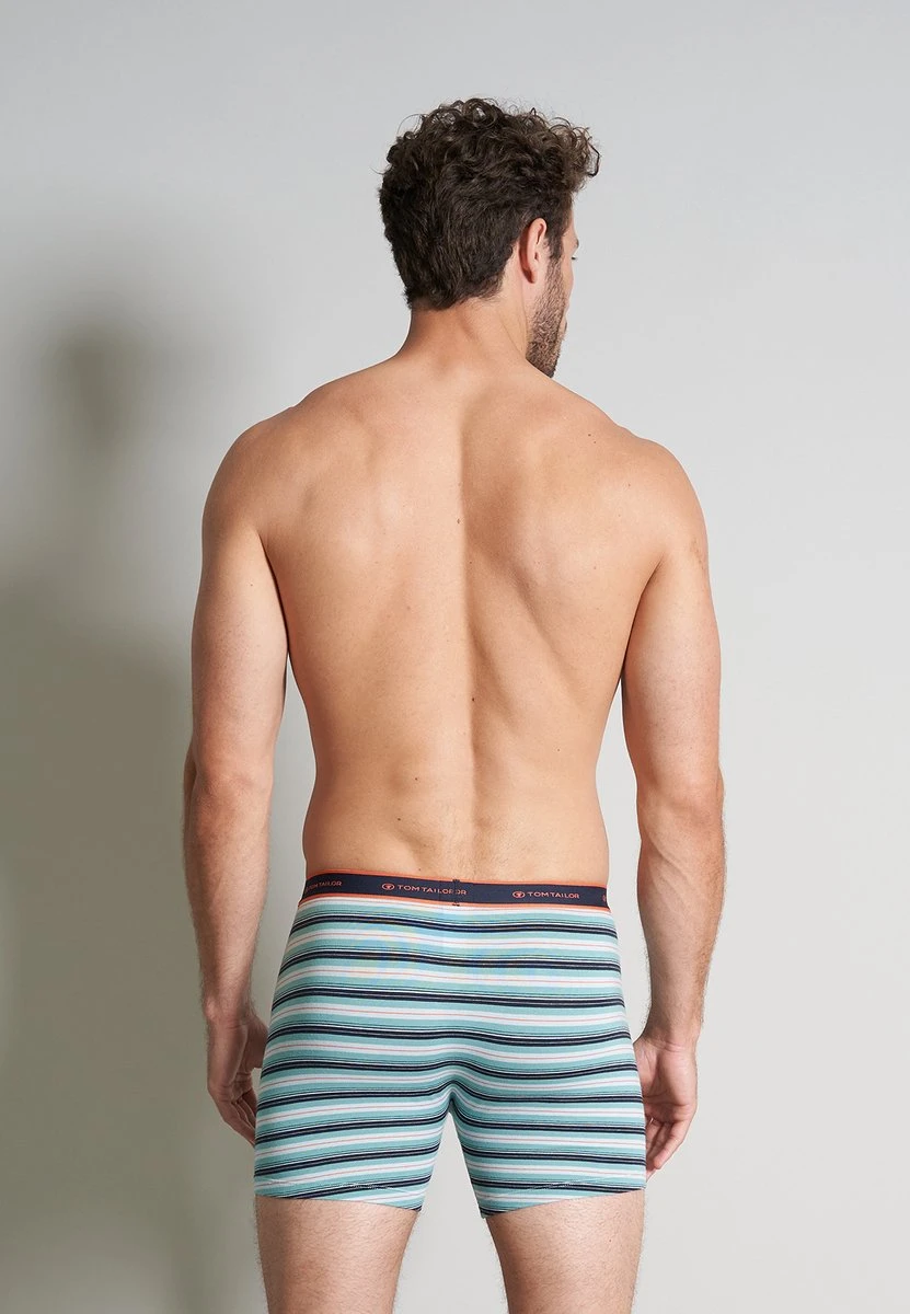 TOM TAILOR Kentucky 4-pack Heren Long Boxershorts - Blauw/groen - Maat XL 8 TOM TAILOR Kentucky 4-pack Heren Long Boxershorts - Blauw/groen - Maat XL – Image 6