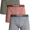 Chasin' Onderbroek Boxershorts Thrice Tyler Bruin Maat S -Merkloos Soldes 964x1200